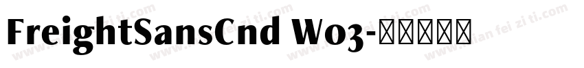 FreightSansCnd W03字体转换